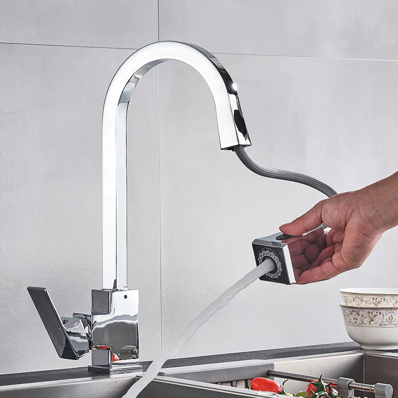 Moderner ausziehbarer Küchenwasserhahn-Aster Selection