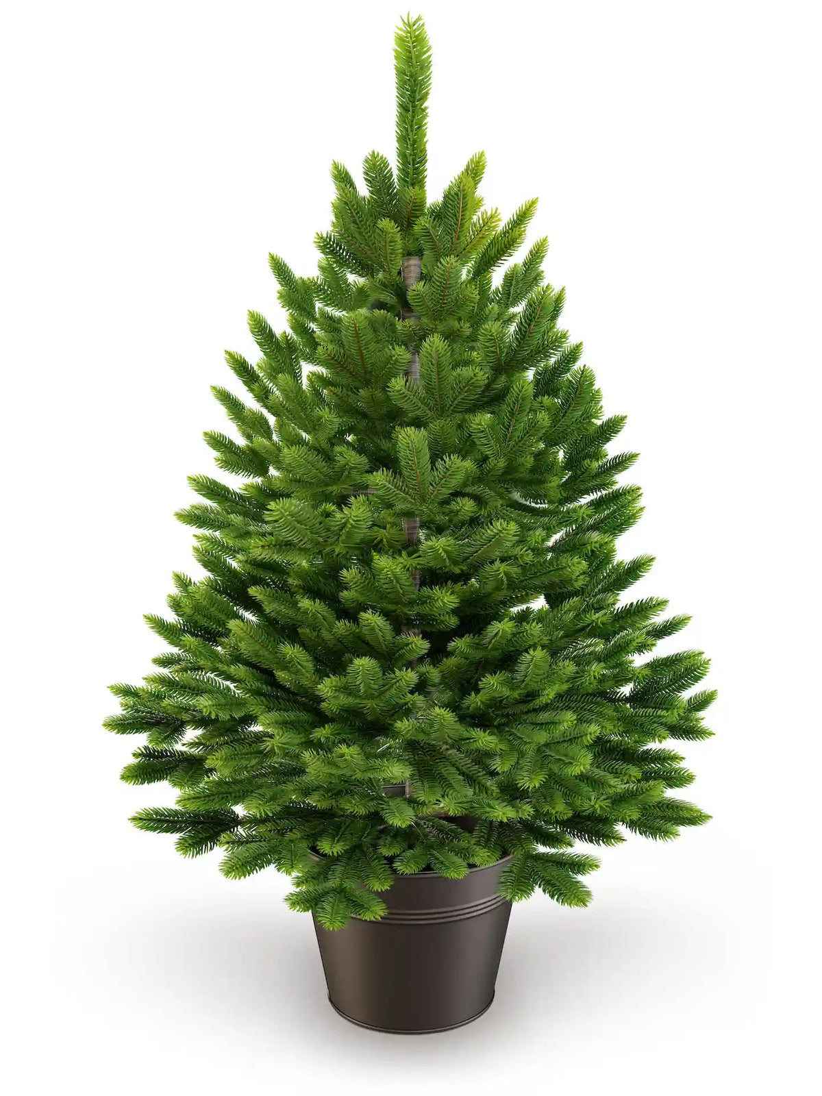 Tirvela Natürlich PE Weihnachtsbaum im Topf
