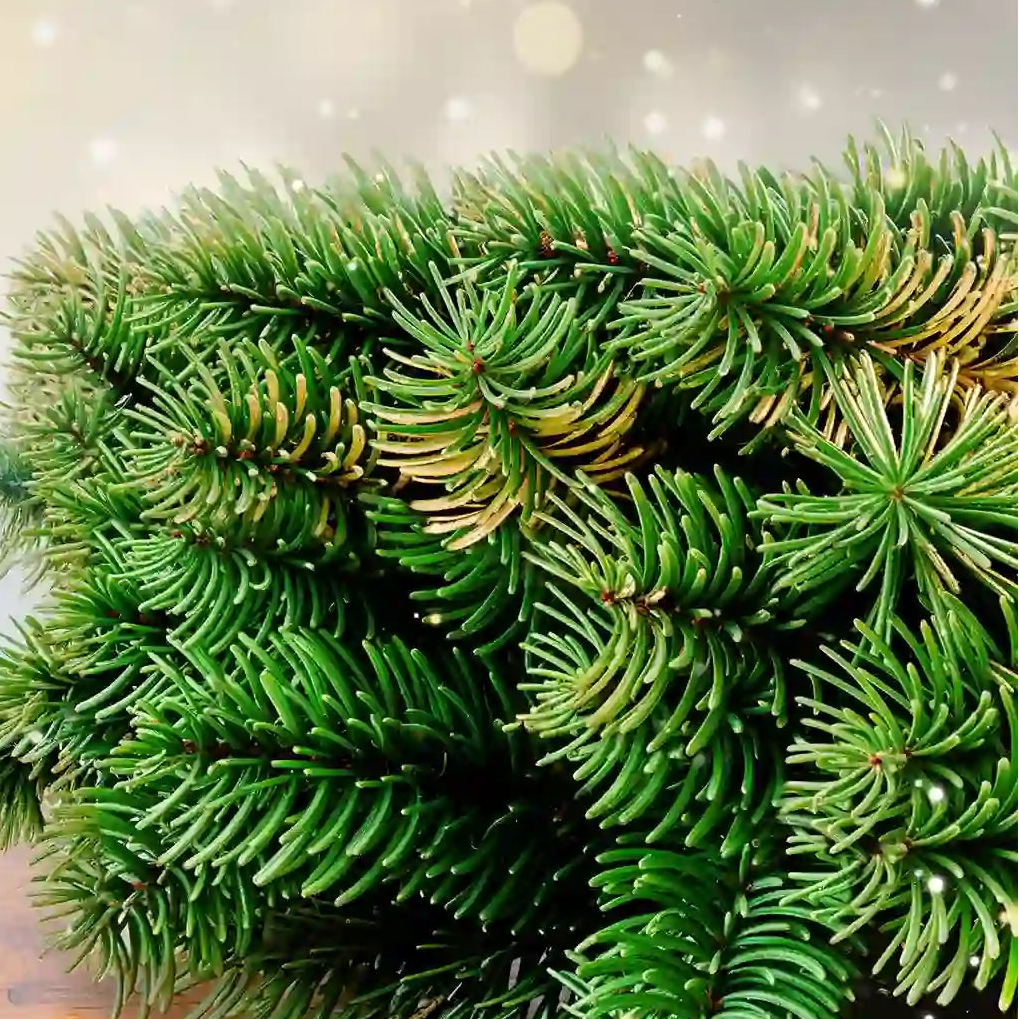 Marvessa Natürlich PE Doppelseitiger Weihnachtskranz