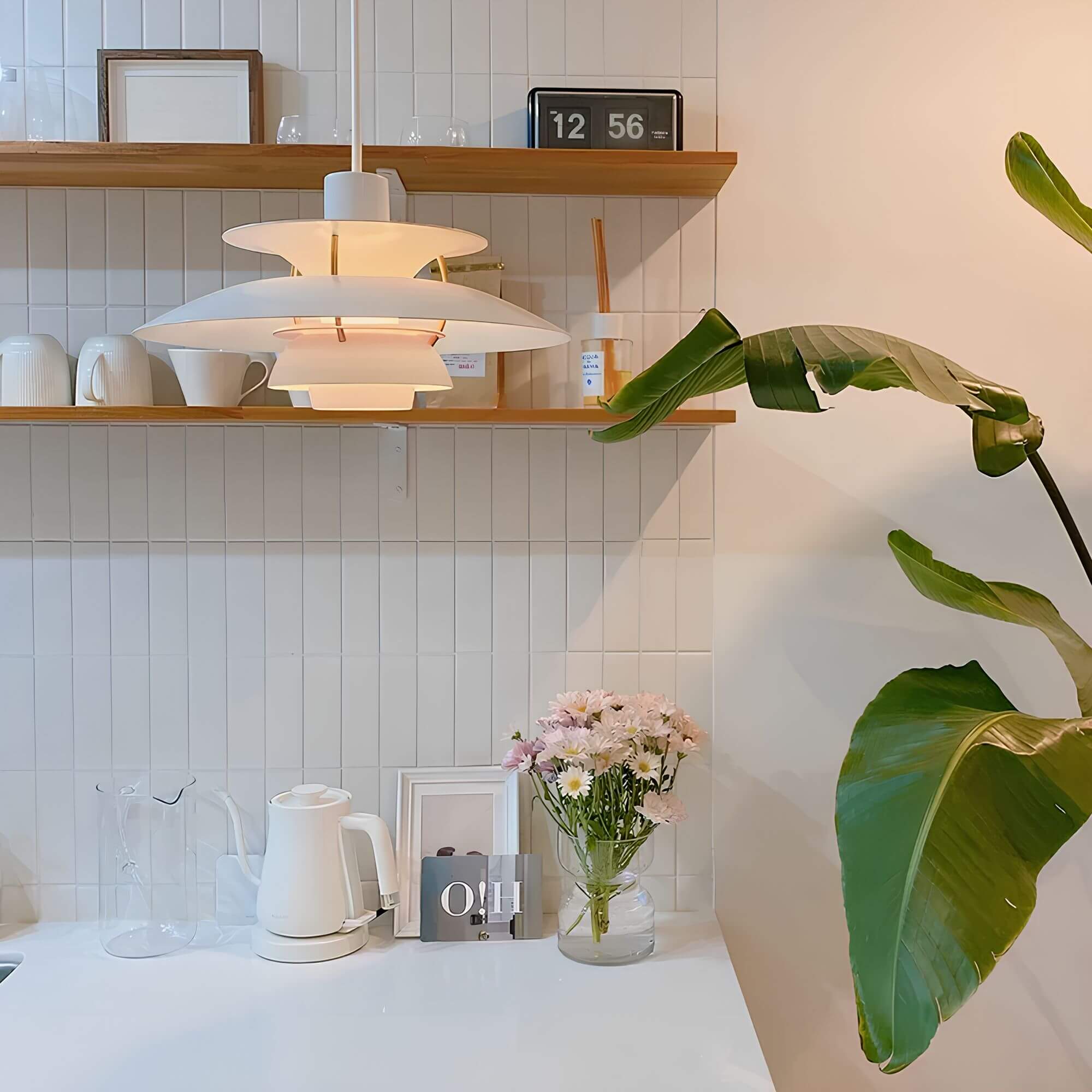 SpectrumGlow LED Beleuchtung-Aster Selection