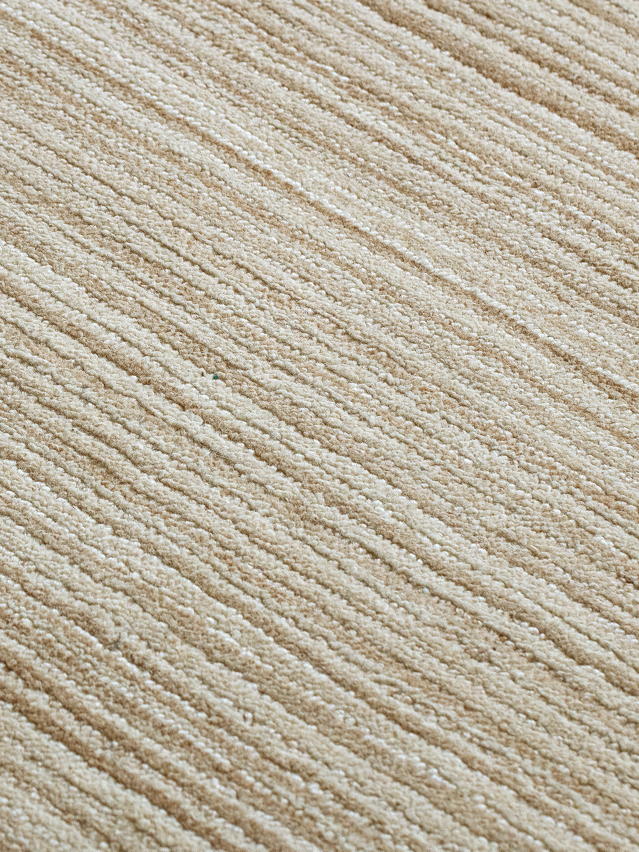 Wollteppich Beige 160x230 200x300 für Wohnzimmer und Schlafzimmer