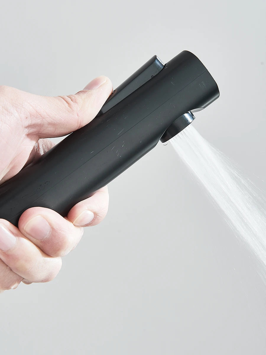 Regendusche mit Klavierknopf und Bidet-Sprühset