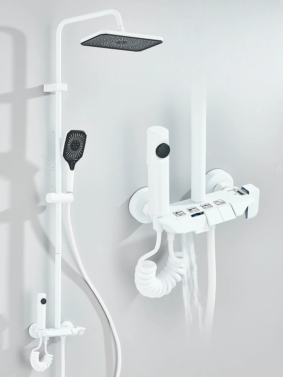 Regendusche mit Klavierknopf und Bidet-Sprühset