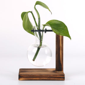 Vintage Holzrahmen-Terrarium