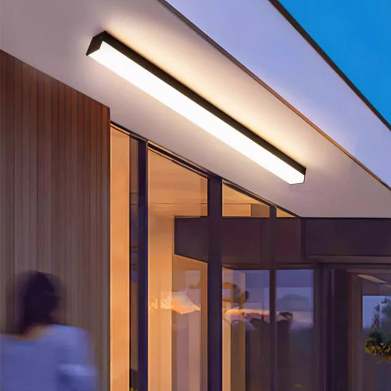 Elegant outdoor ceiling light