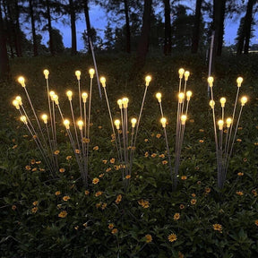 Solarbetriebene Lichter - Funkelndes Ambiente für den Außenbereich