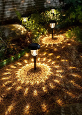 Solar-powered LED garden lights