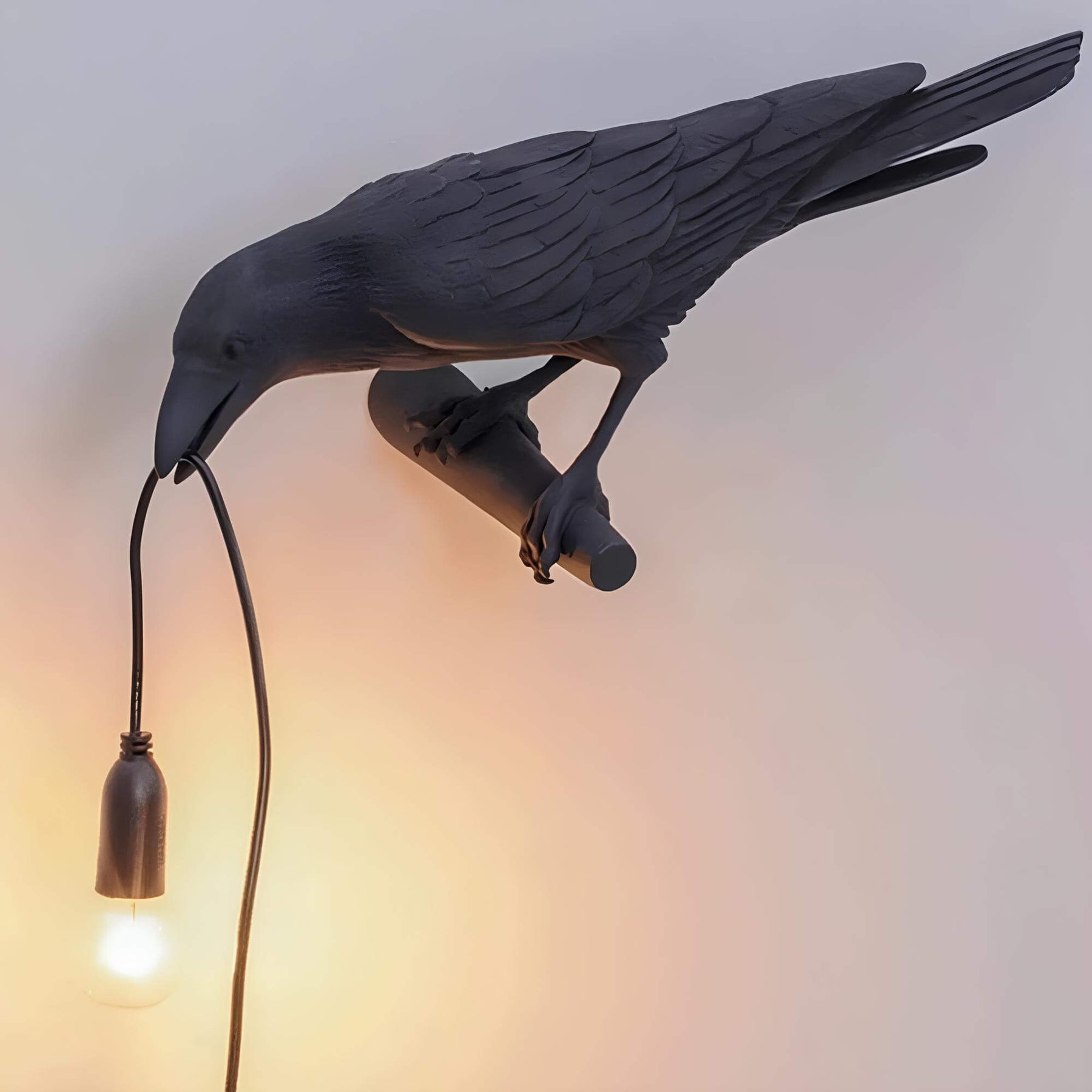 Artistieke Crow LED wandlamp