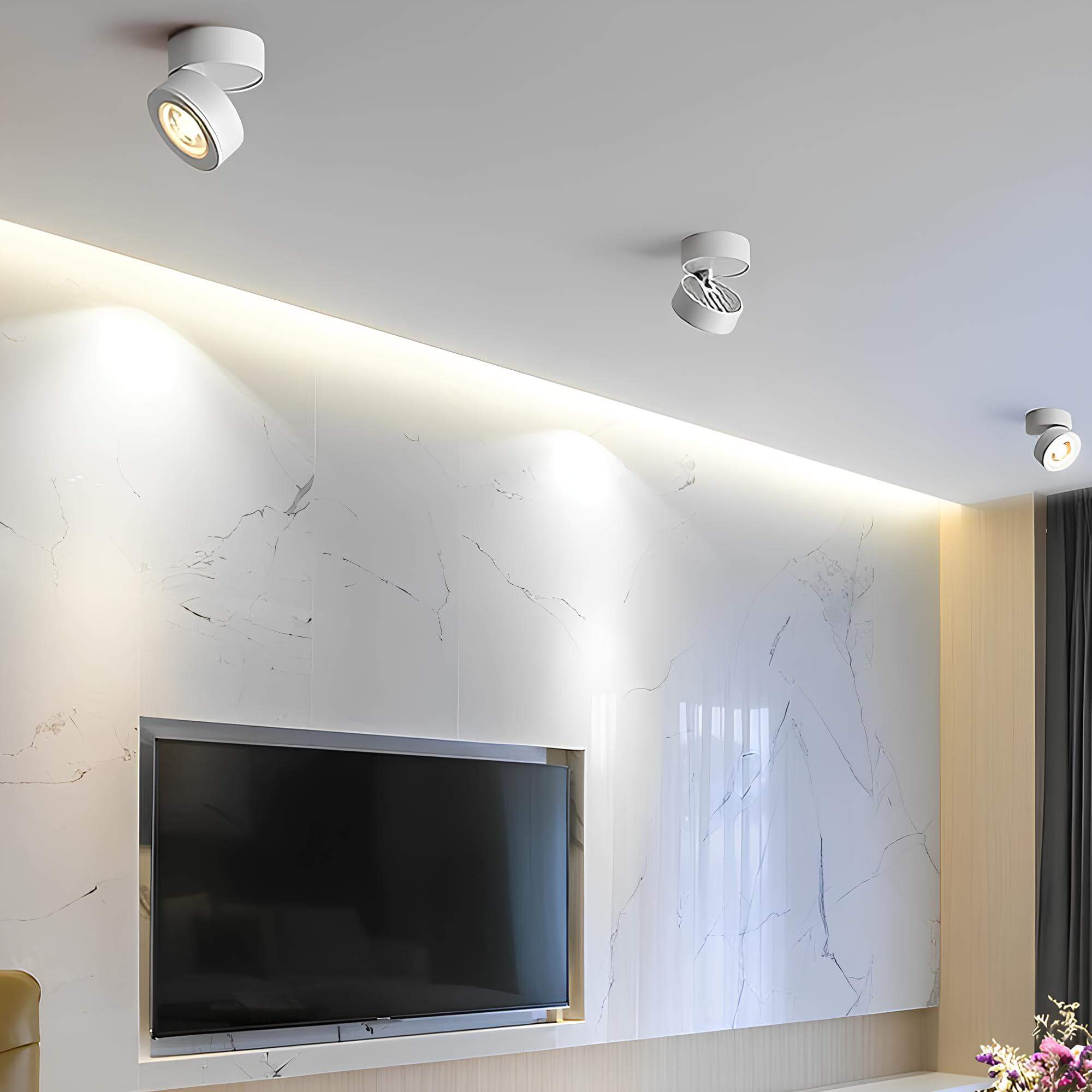 Verstellbare LED-Nordic Deckenlampe-Aster Selection